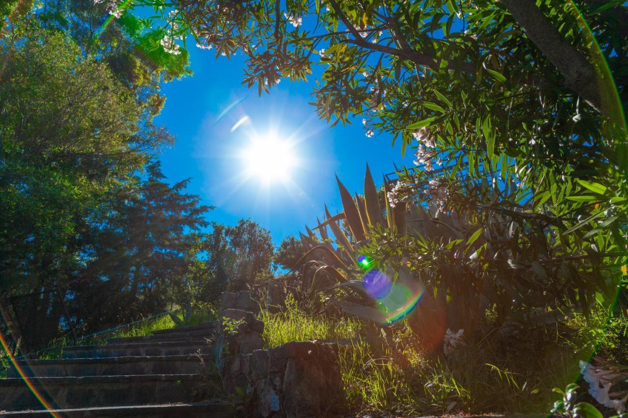 Giardino Sul Mare House - Levanto Sea View 外观 照片