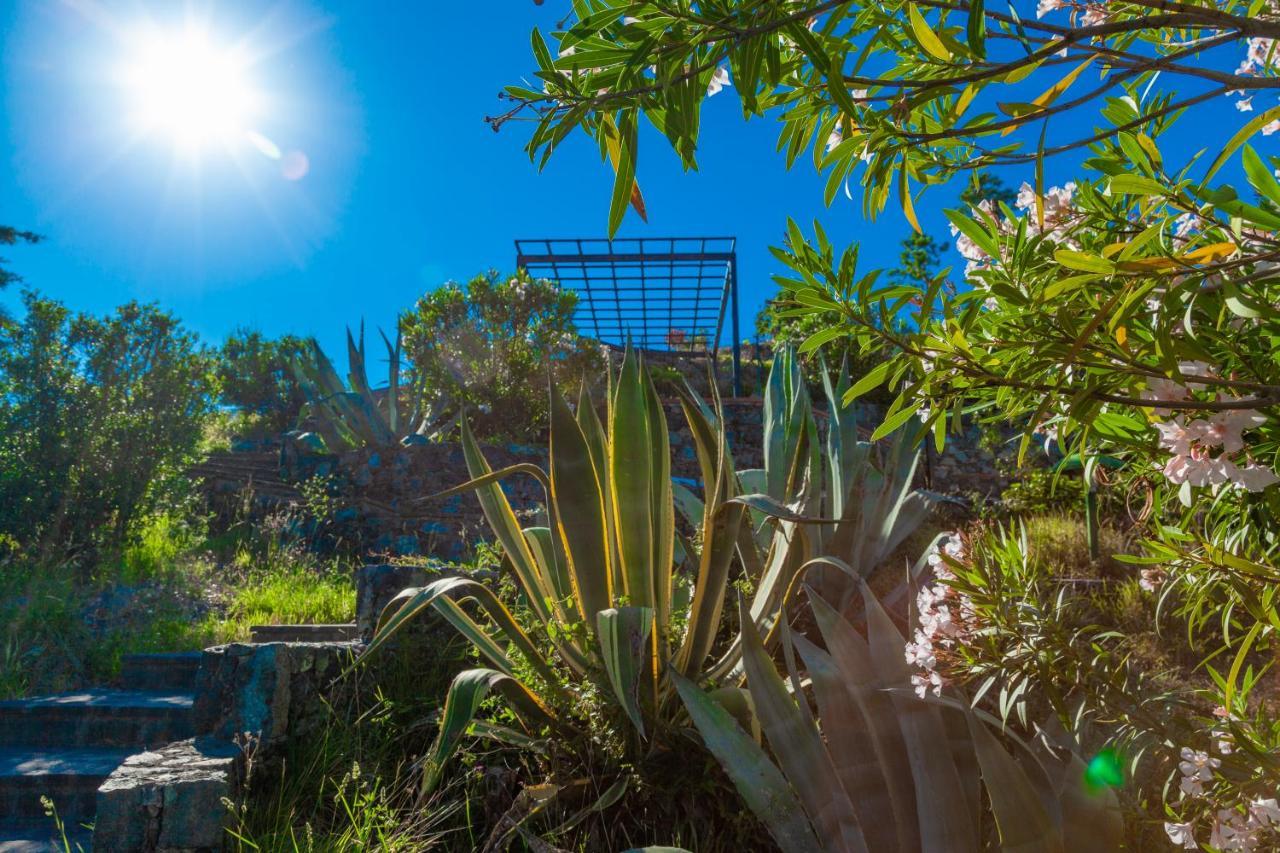Giardino Sul Mare House - Levanto Sea View 外观 照片